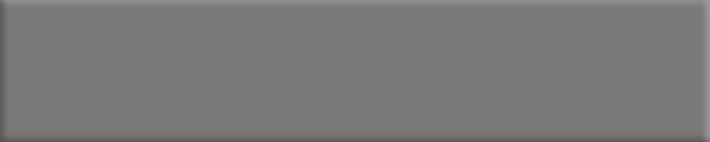 Basic L50 Gris WEB - BASIC