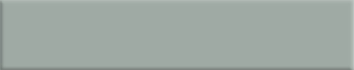 Basic L50 Sage WEB - BASIC
