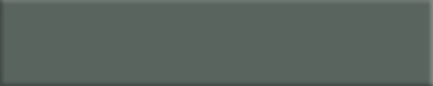 Basic L50 Verde WEB - BASIC
