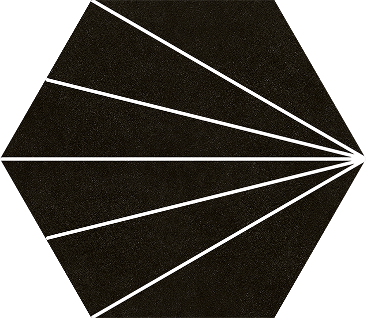 COMPOSTELA HEX NEGRO WEB - COMPOSTELA HEX