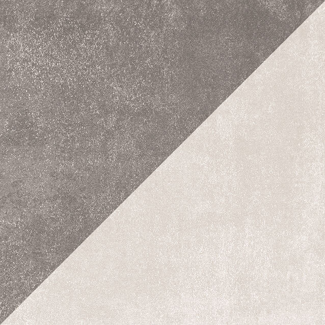 FIDENSA 22 GRIS WEB - FIDENSA