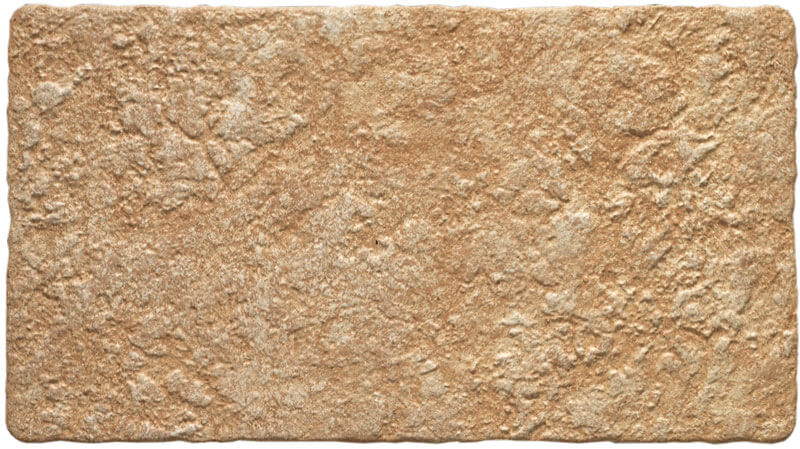 FORTALEZA OCRE WEB - FORTALEZA