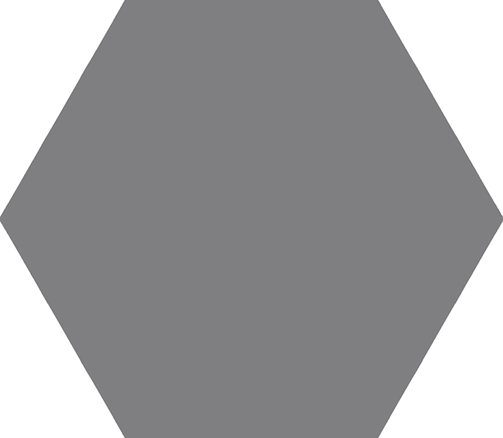 Gris HEX WEB - MONOCOLOURS