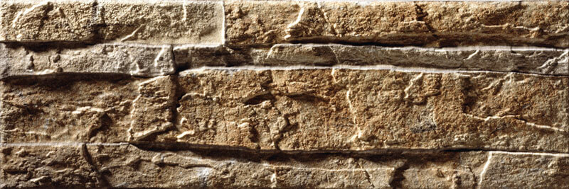 NEPTUNO MARRON WEB 1 - NEPTUNO