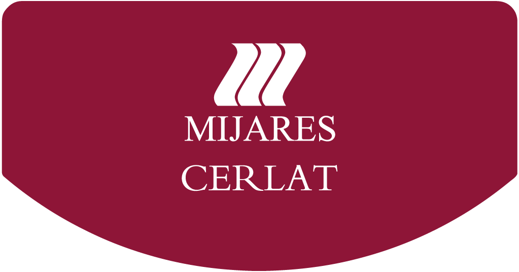 mijares news - Empresa